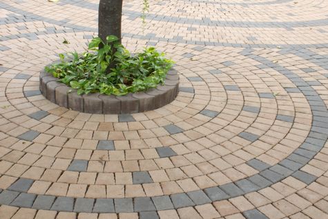 Công ty TNHH MTV Việt Thanh Gia, Lát gạch sân vườn