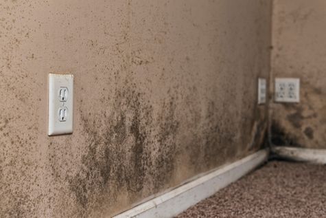 CÔNG TY TNHH TVDV THIẾT KẾ XÂY DỰNG GIA PHÚ, Tẩy nấm mốc