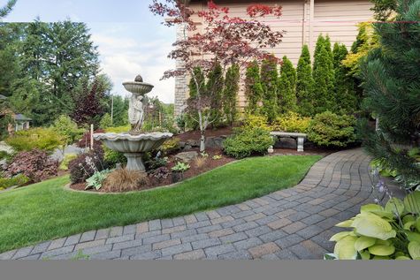 CÔNG TY TNHH SINH VẬT CẢNH SƠN THẢO NGUYÊN, Chăm sóc cây cảnh