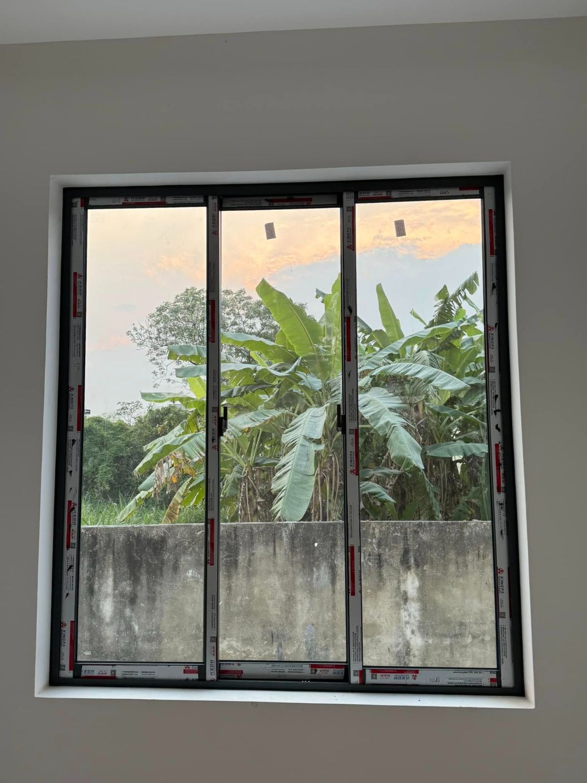 Cửa nhôm kính