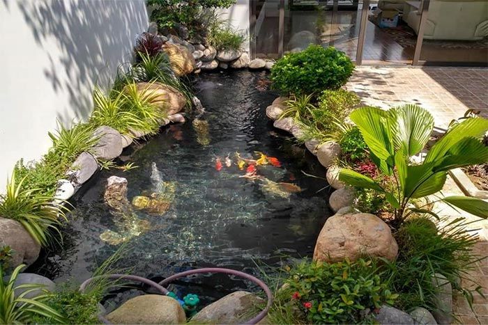 Dịch vụ thi công hồ cá koi 