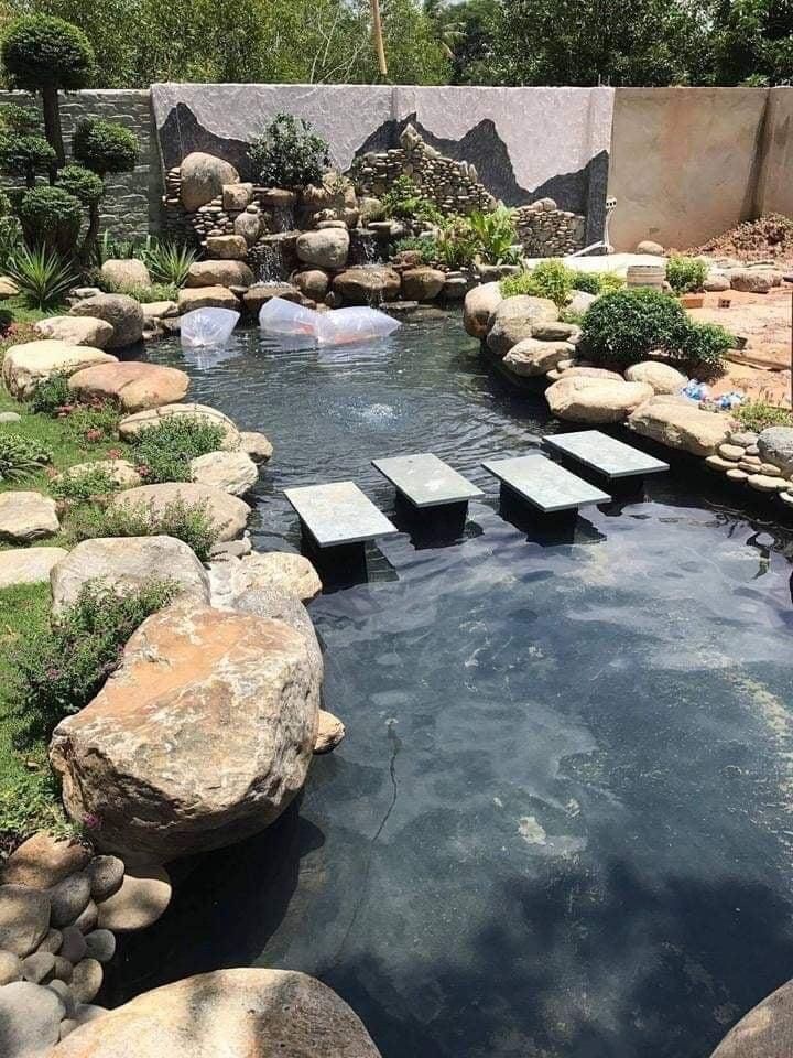 Hoàn thiện hồ cá koi 