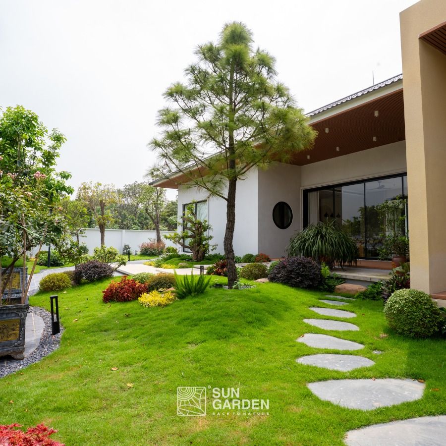 Thiết kế thi công cảnh quan sân vườn 
