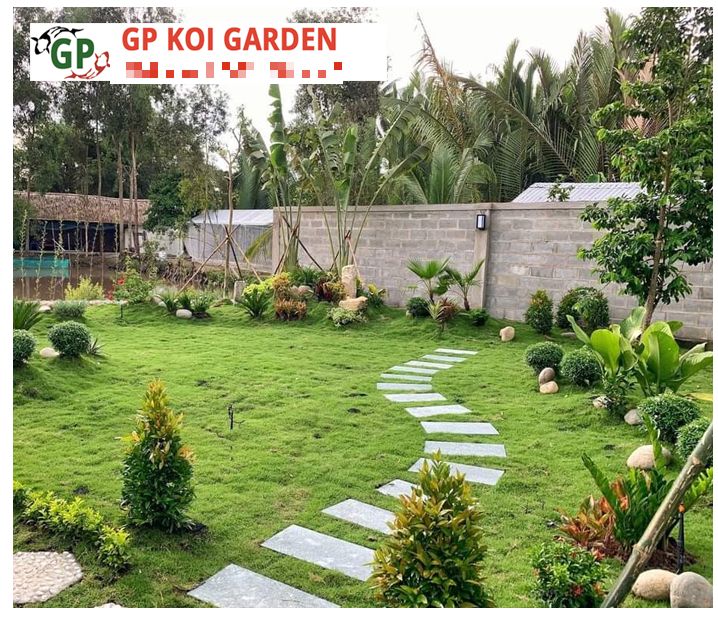 Thiết kế và thi công cảnh quan sân vườn hiện đại