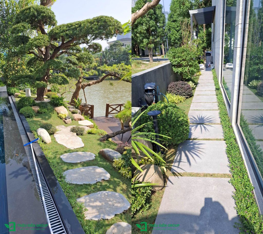 Thi công cải tạo cảnh quan sân vườn biệt thự