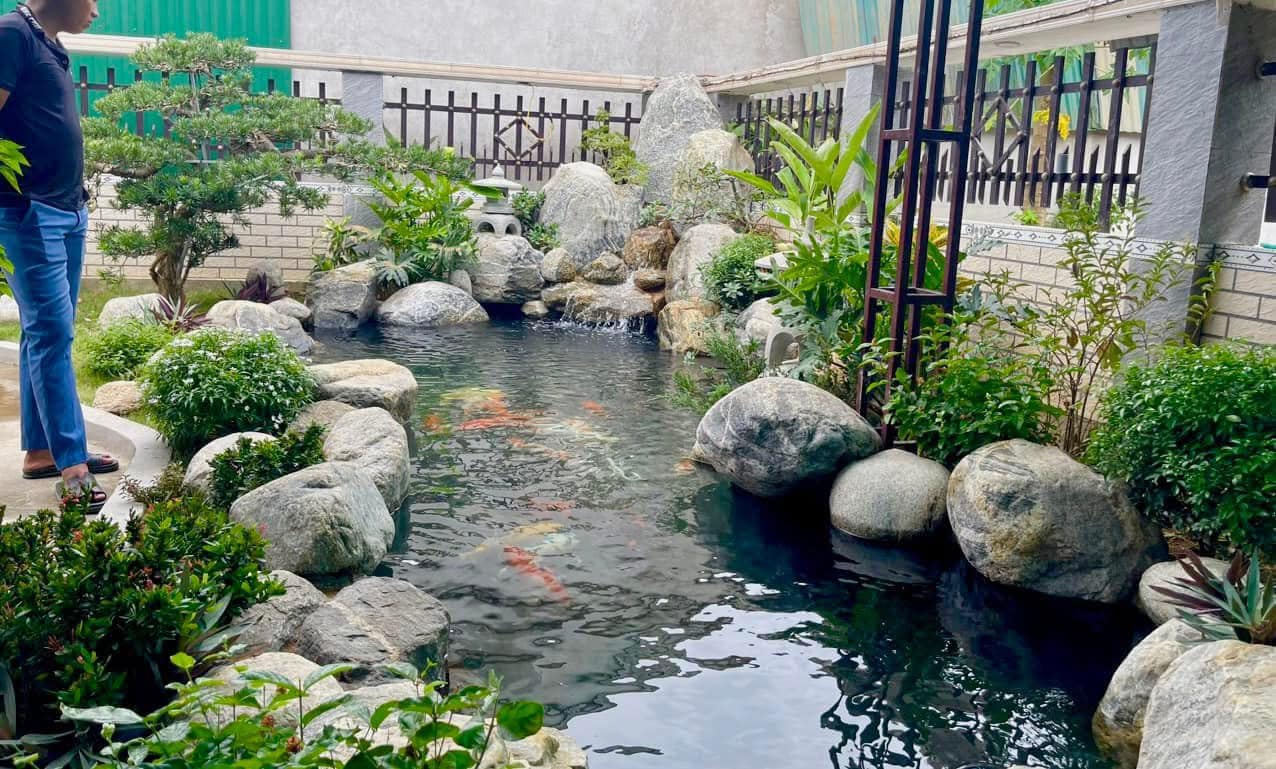 Thi công hồ cá koi
