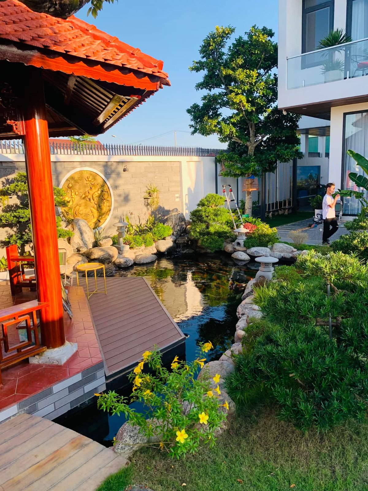 Thiết kế và thi công cảnh quan sân vườn hồ cá koi