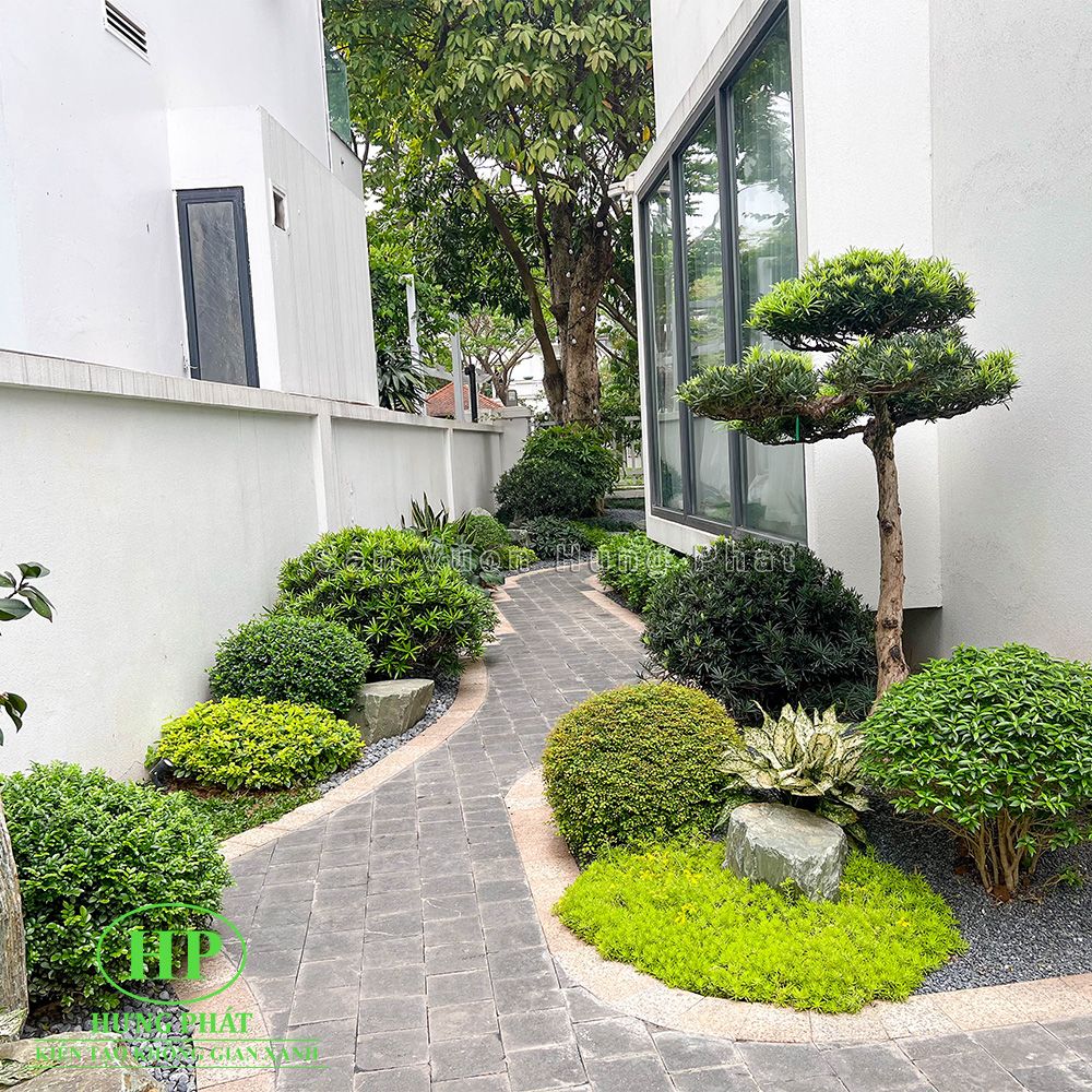 Cảnh quan sân vườn hiện đại