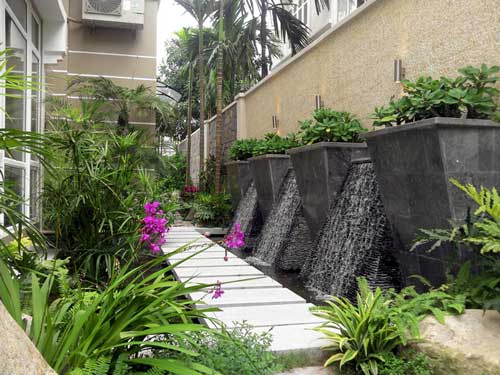 Cây trồng biệt thự Lê An
