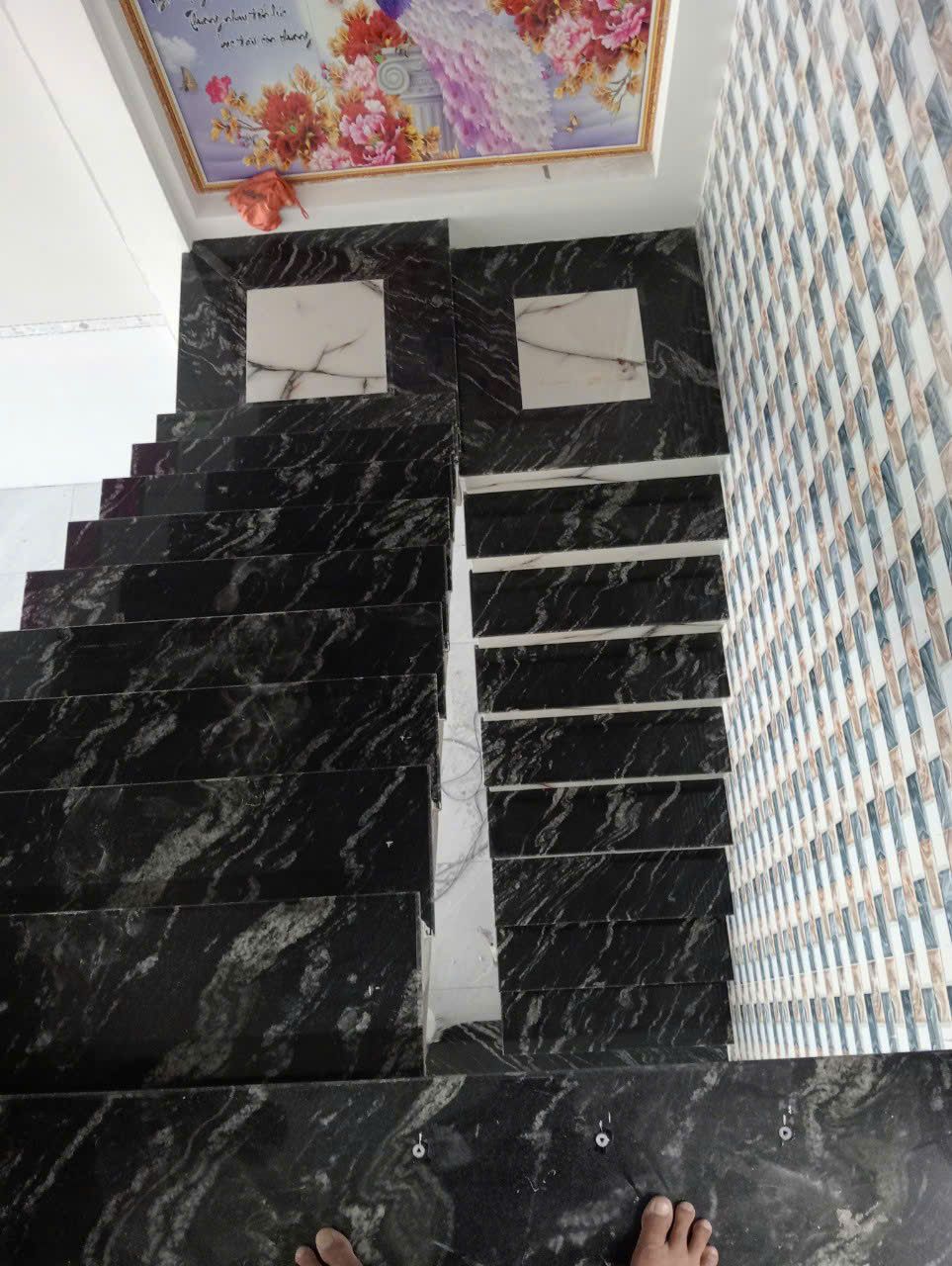 Đá granite tự nhiên Black Forest
