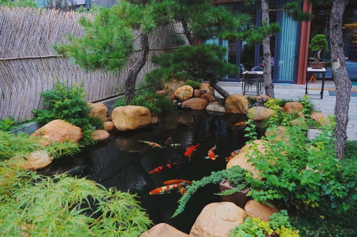 Sân vườn hồ cá Koi phong cách Nhật