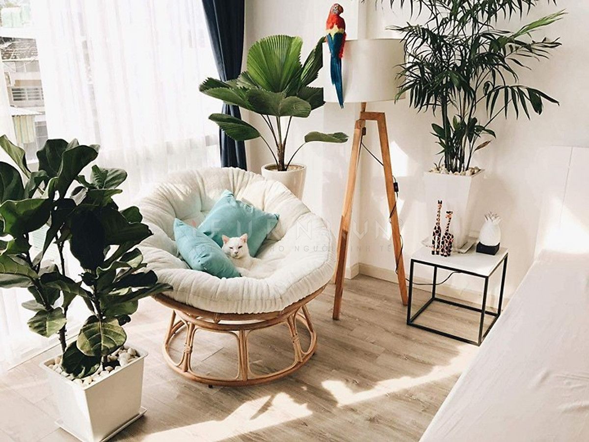 GHẾ THƯ GIÃN PAPASAN