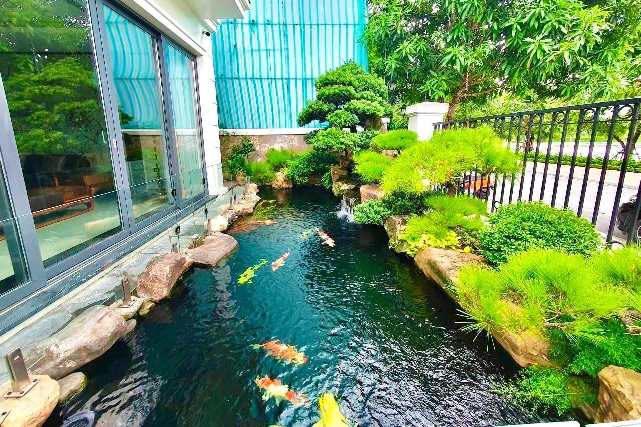 Hồ cá koi 