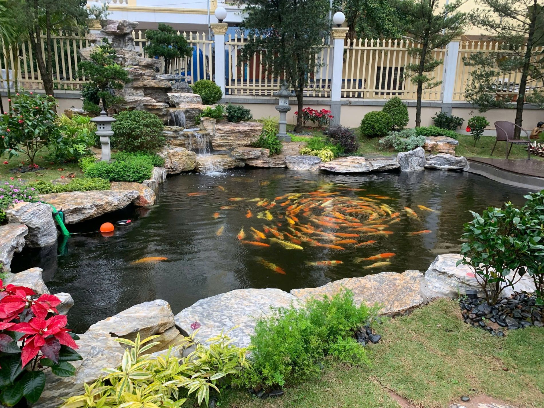 Hồ cá koi 
