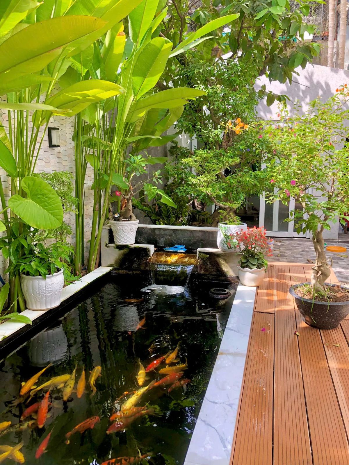 Hồ cá koi