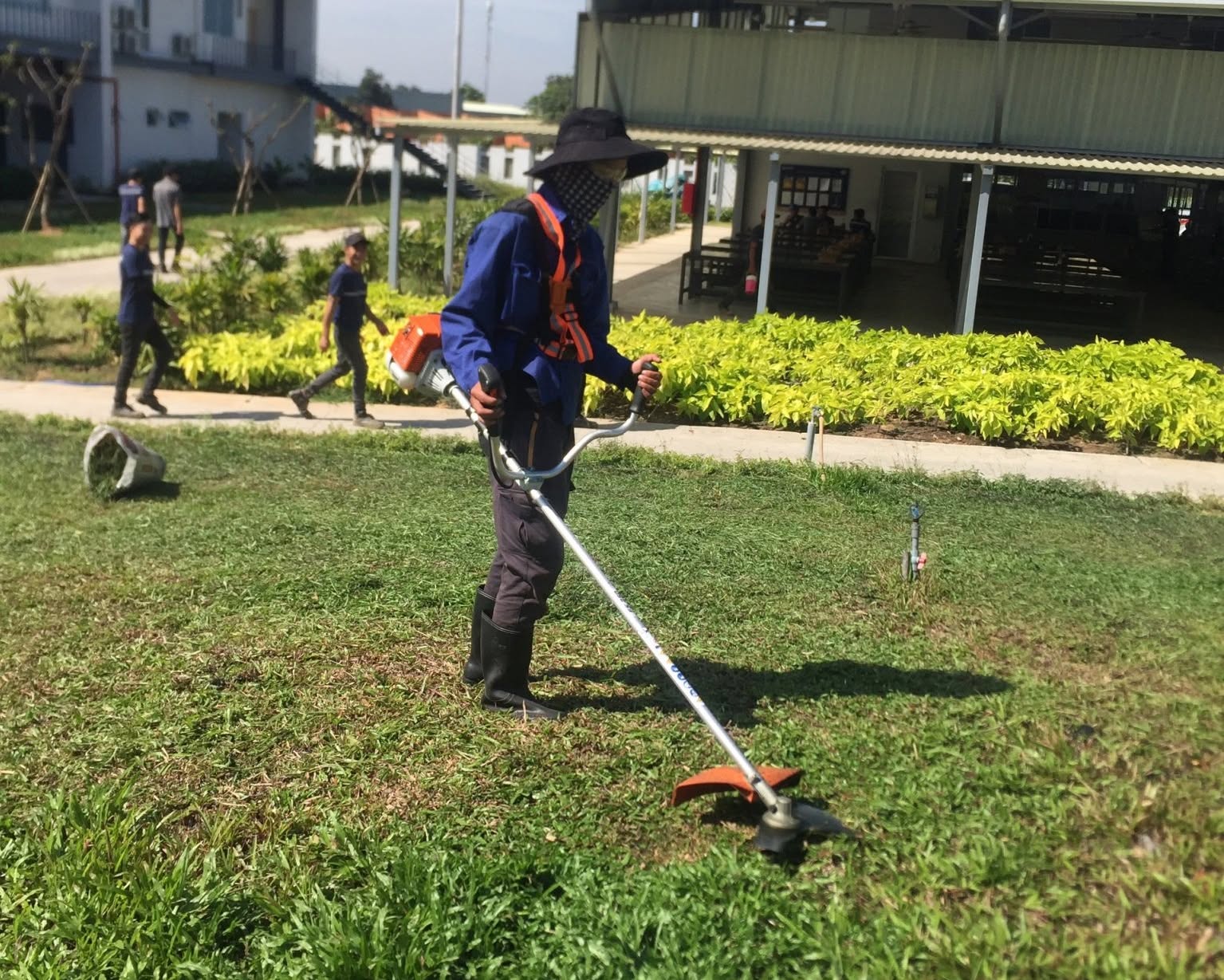 Cắt tỉa và chăm sóc cảnh quan 