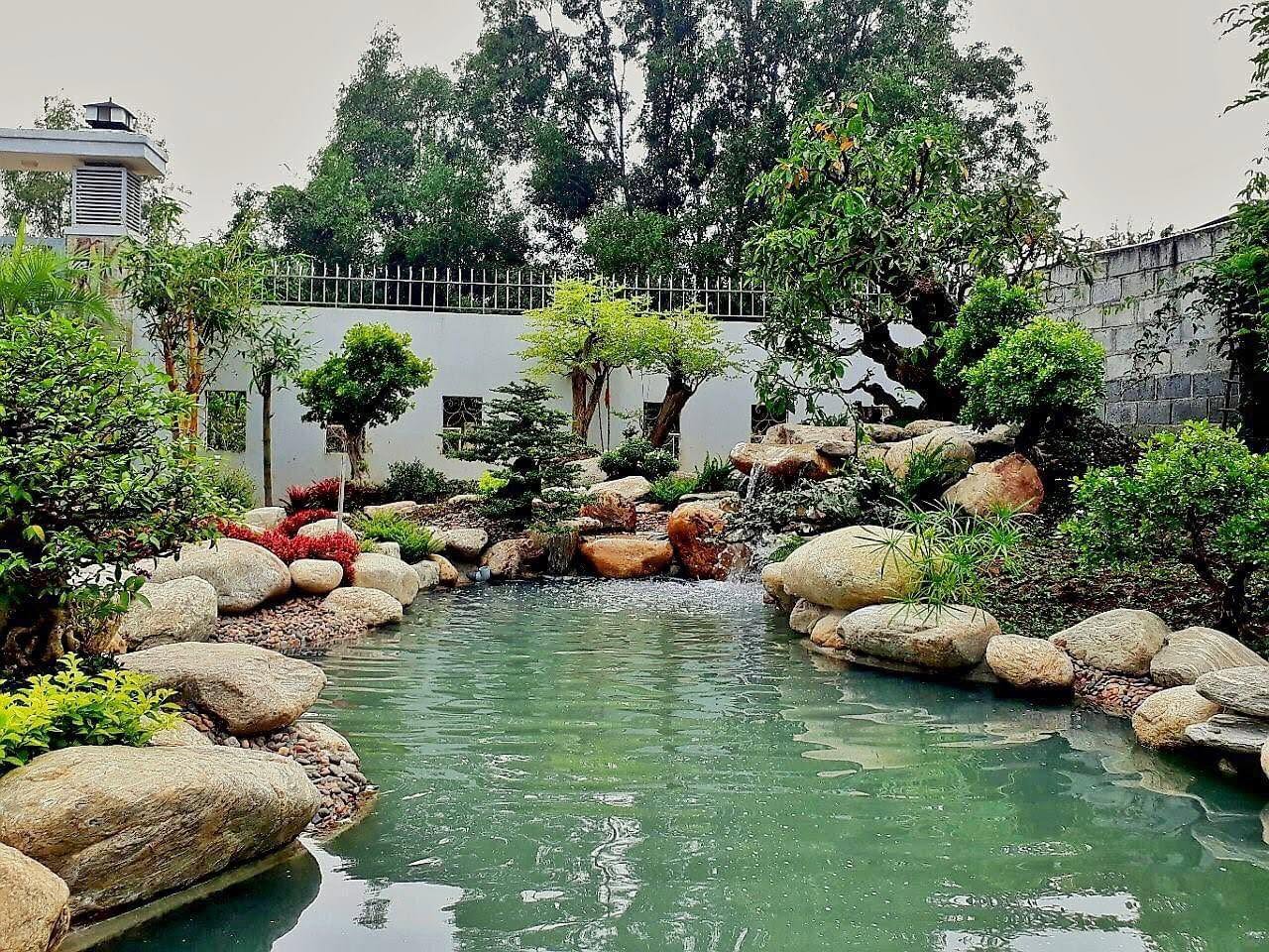 Thi công hồ cá koi