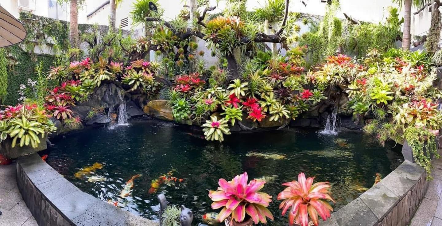 Thi công hồ cá koi 