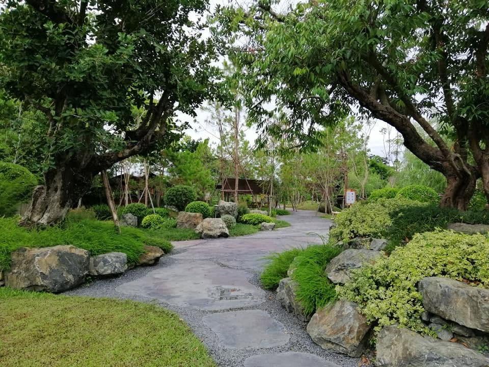 Cảnh quan sân vườn cho lối đi
