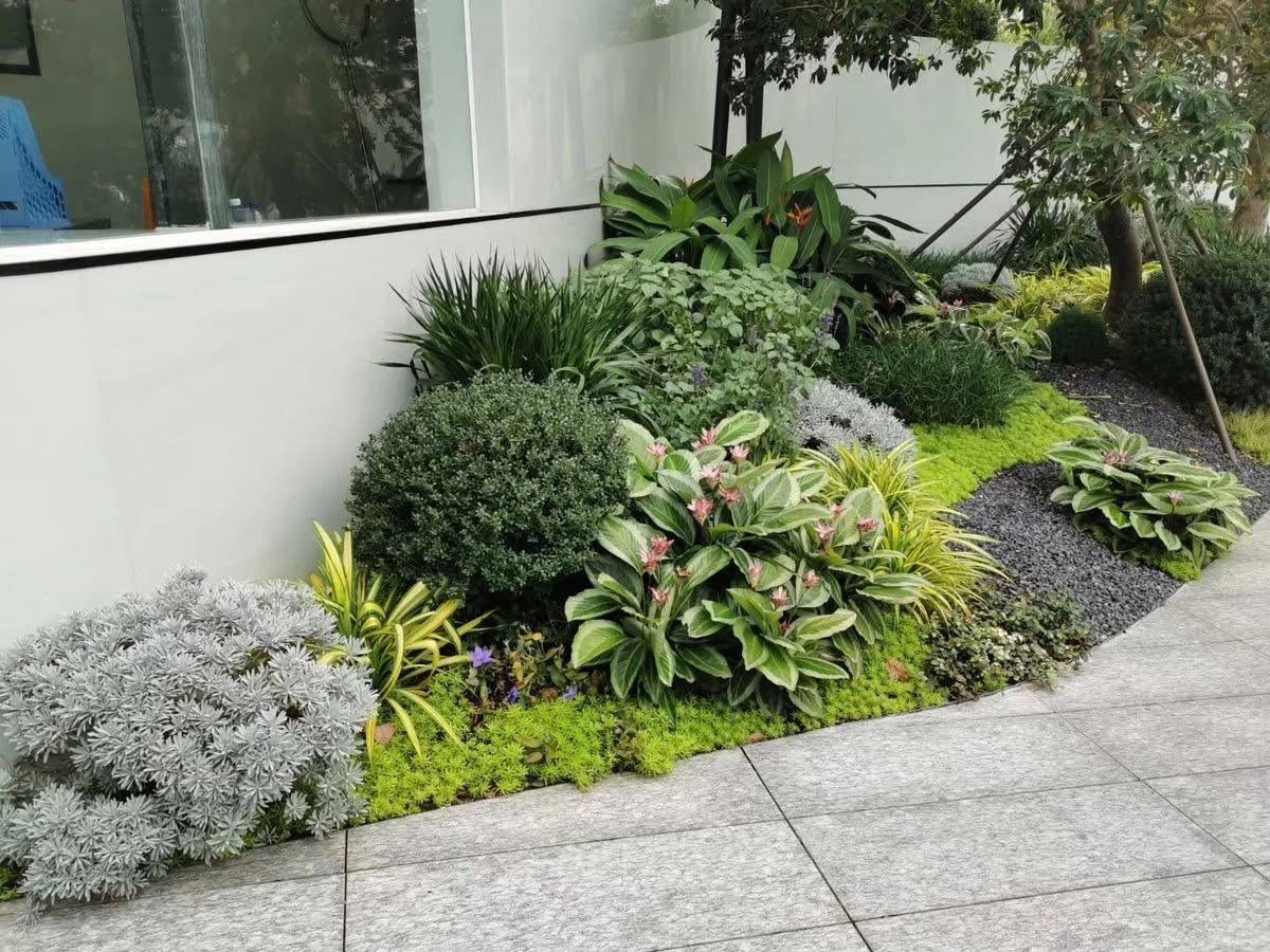 Thi công tiểu cảnh sân vườn 