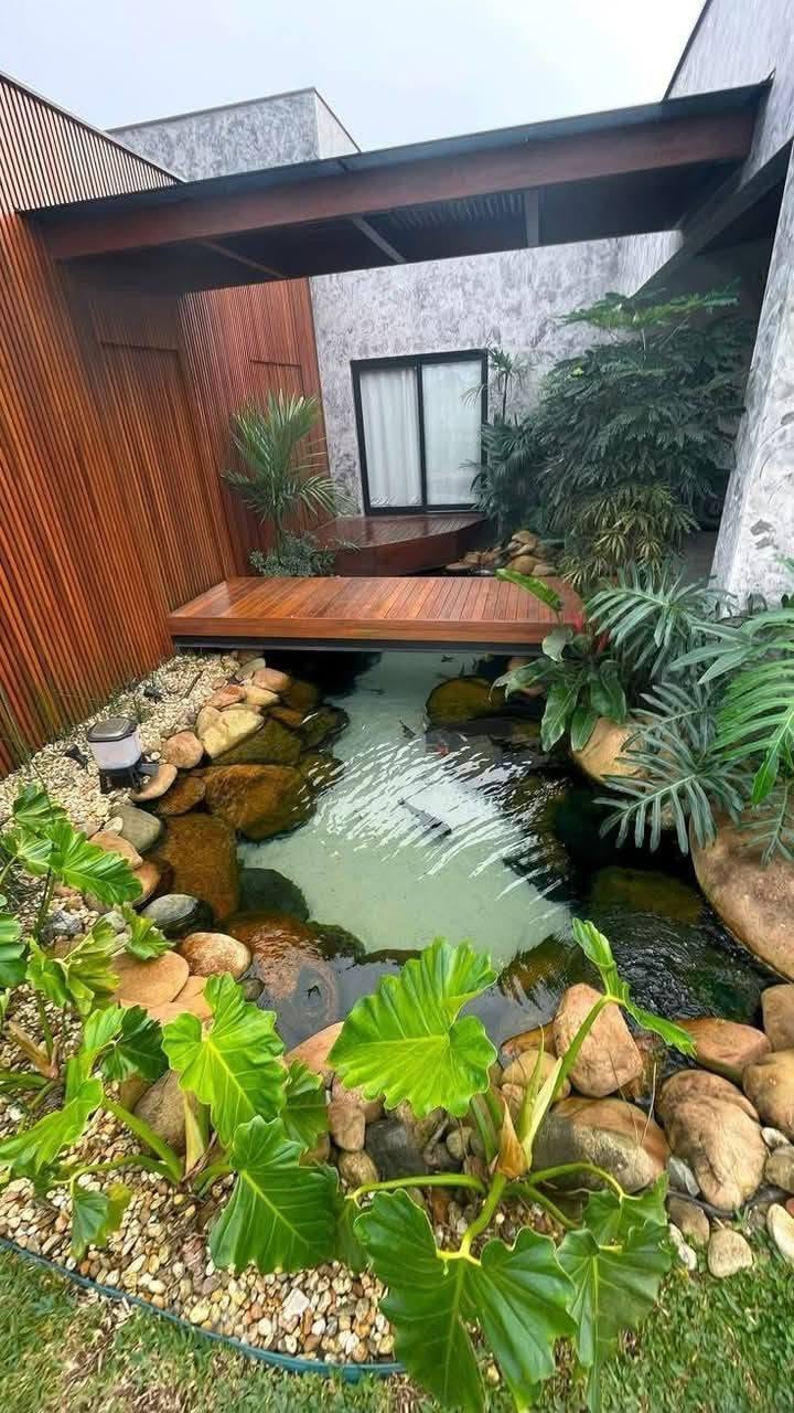 Thi công hồ cá koi