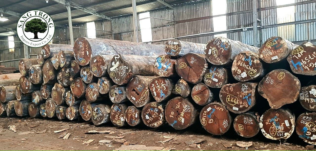 WPL Căm xe nam mỹ