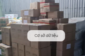 Vận chuyển hàng đi Lào