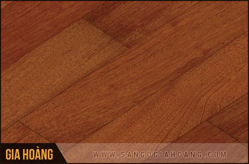 Sàn gỗ Robina