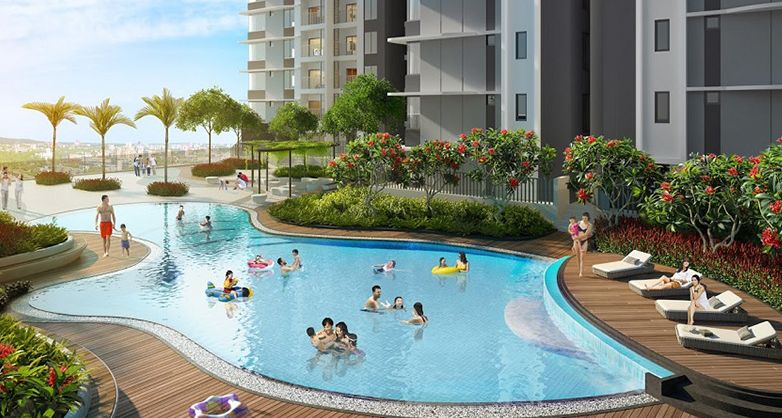Thi công lắp đặt sàn gỗ bể bơi