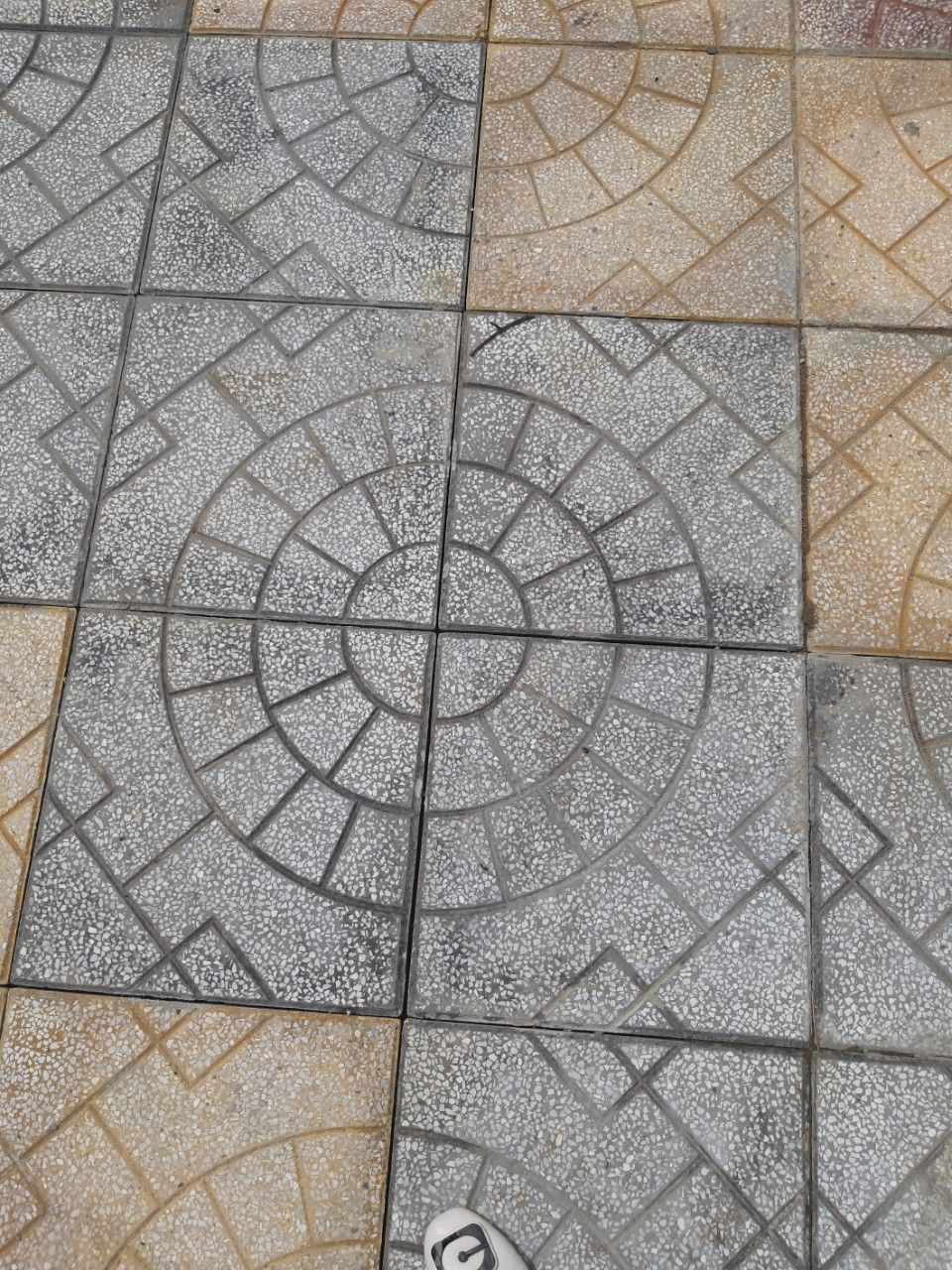 Gạch Terrazzo 07