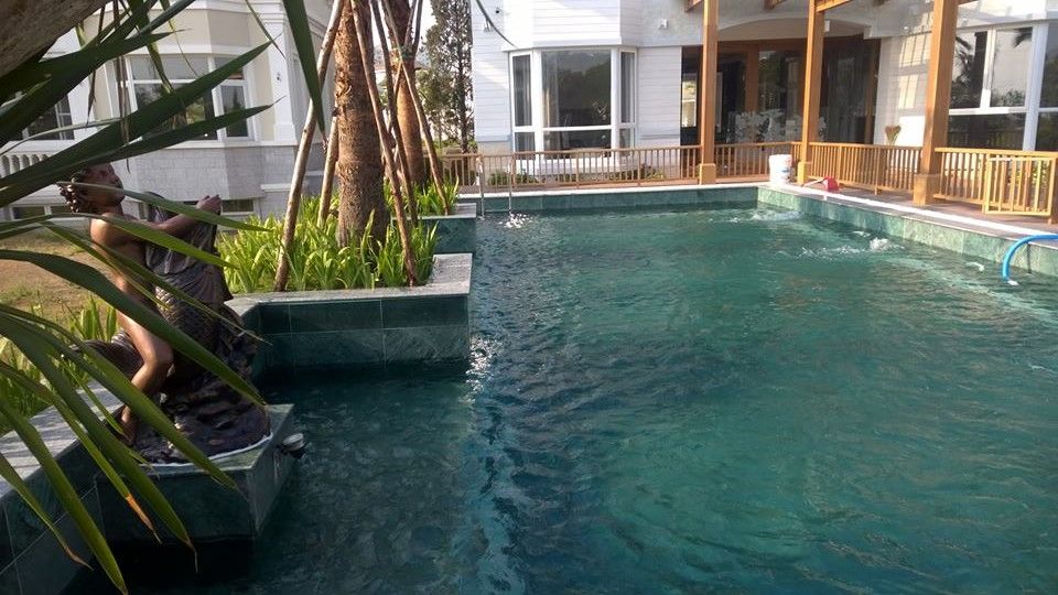 Hồ bơi ngoài vườn