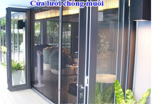 Cửa lưới chống muõi