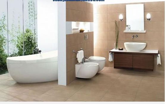 Chống thấm nhà vệ sinh