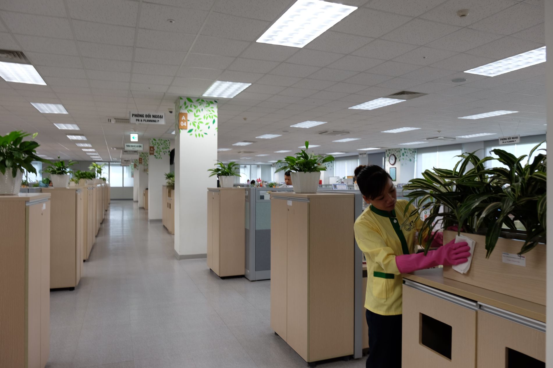 Dịch vụ vệ sinh văn phòng