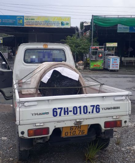 Chuyên chở hàng hóa 