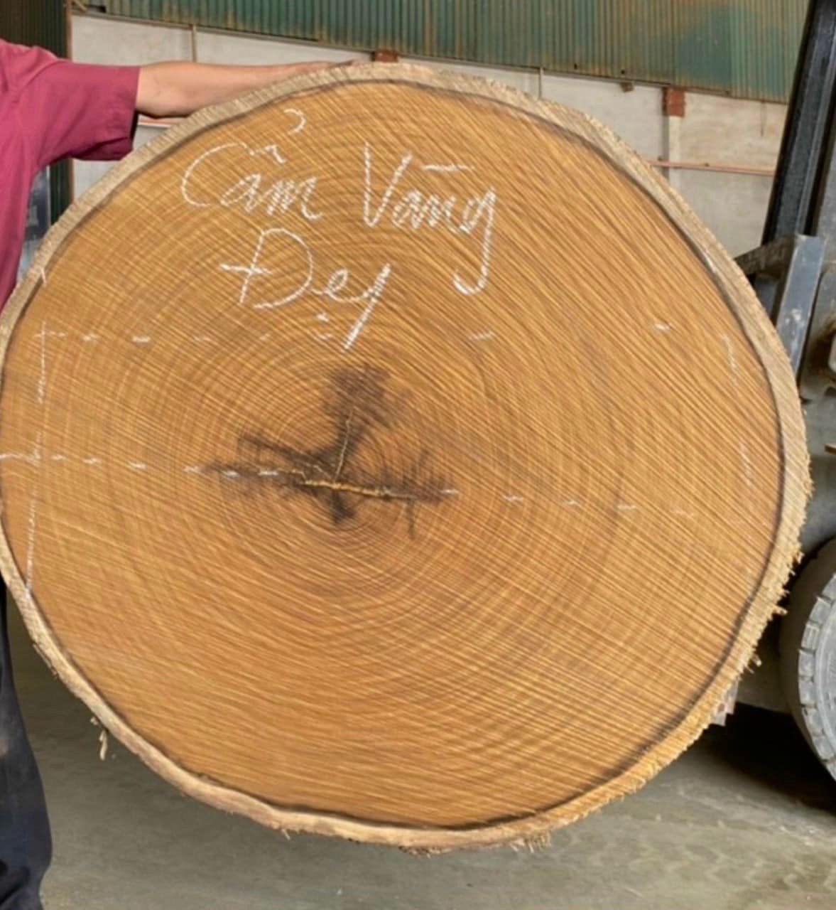 Gỗ cẩm vàng