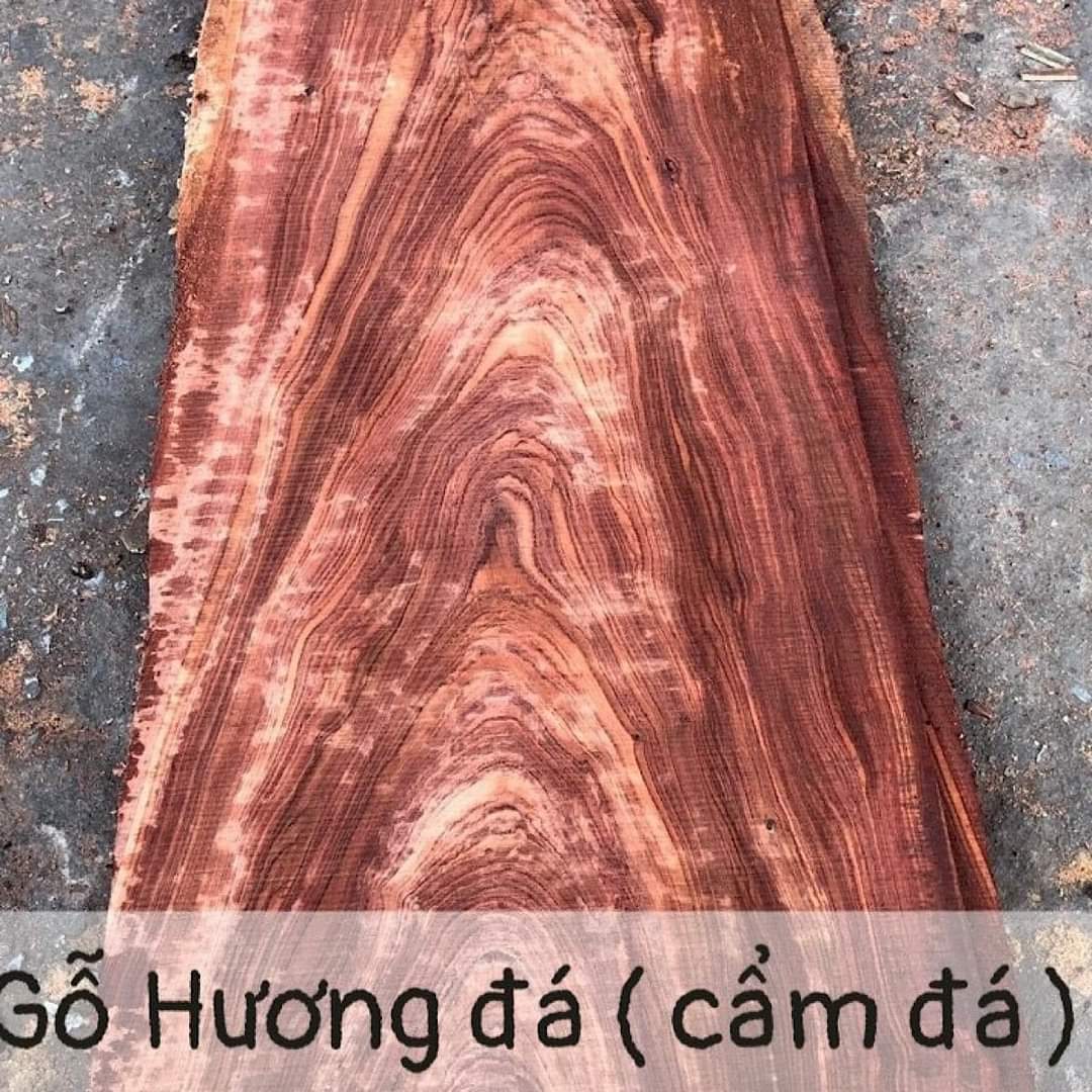 Gỗ cẩm đá