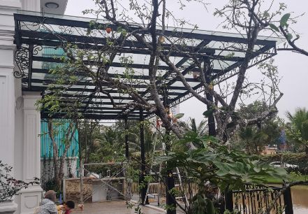 Mái kính cường lực