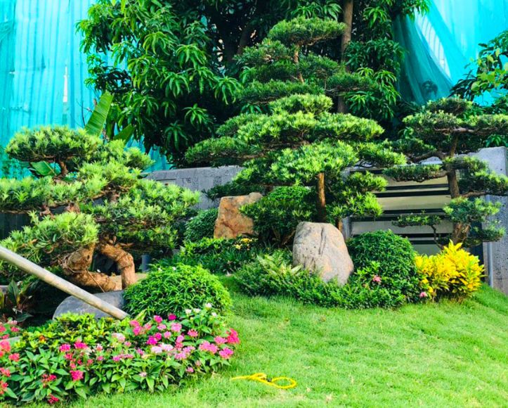 Thi công cảnh quan công ty
