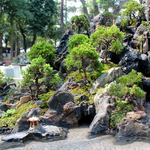 Hòn non bộ
