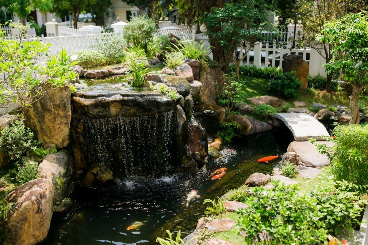 Thiết kế Hồ cá koi
