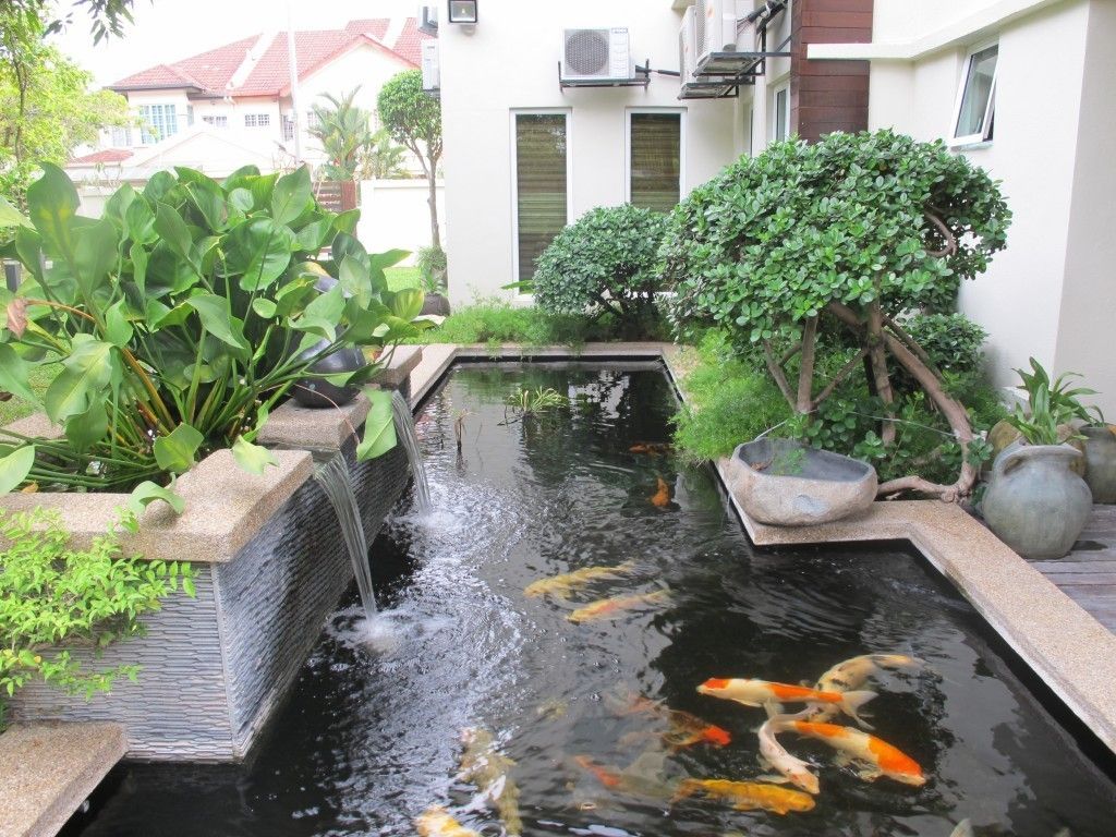 Thi công thiết kế hồ cá koi