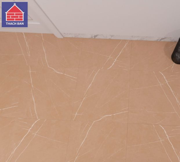 Gạch lát nền Thạch Bàn 600x600