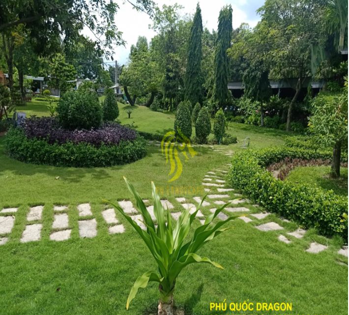 Thiết kế cảnh quan cây xanh