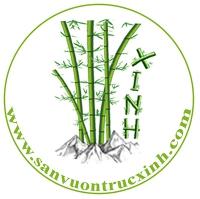 Sân Vườn Trúc Xinh
