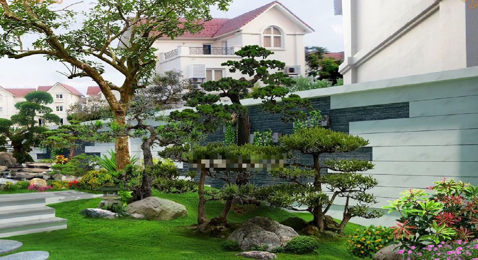 Thiết kế cảnh quan biệt thự 