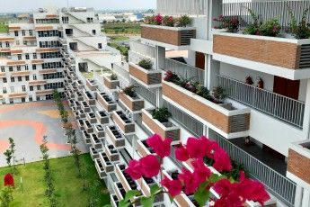 Thiết kế cảnh quan trường học