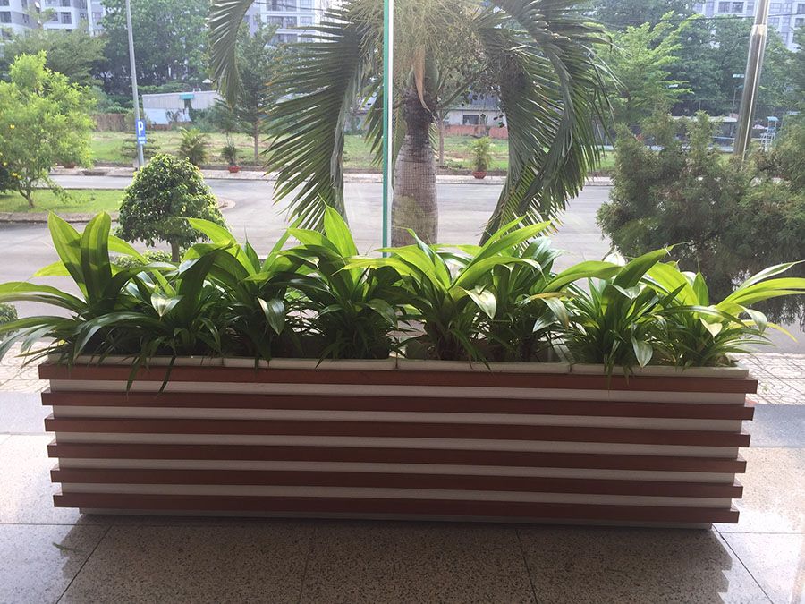 Thiết kế cảnh quan công ty