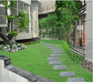 Thiết kê cảnh quan sân vườn