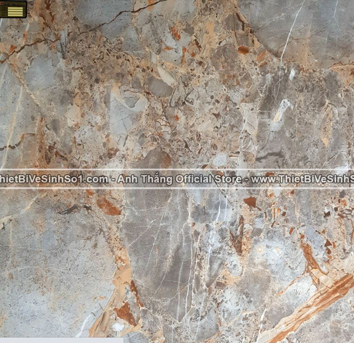Gạch 1200x1200 Ấn Độ REY2